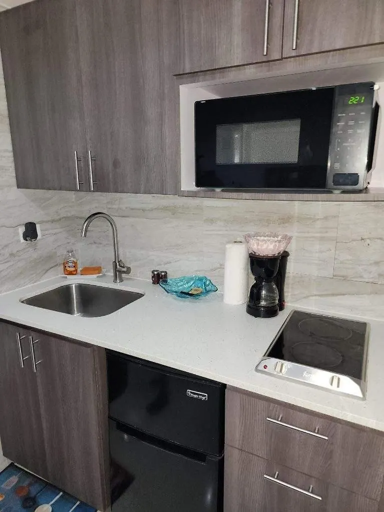 סן חואן Starfish Luxury Apartment